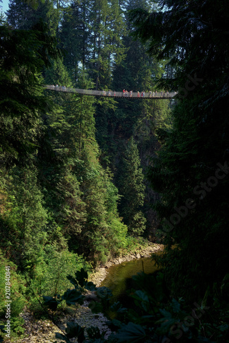 Capilano Suspension Bridge and Capilano River, North Vancouver, British Columbia, Canada