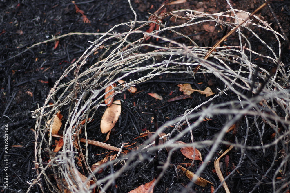 Naturaleza muerta Naturaleza muerta
