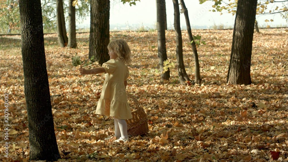 Girl with a basket full of leaves at the autumn park Girl with a basket full of leaves at the autumn park