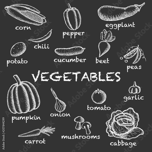 Vector image of vegetables set painted with chalk on a dark background with the words under each vegetable.