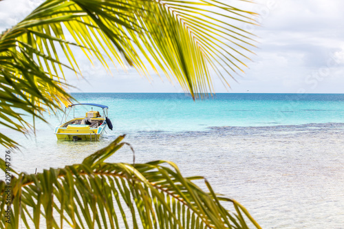 Boat on Crystal Clear Blue Water Looking through Palm Leaves