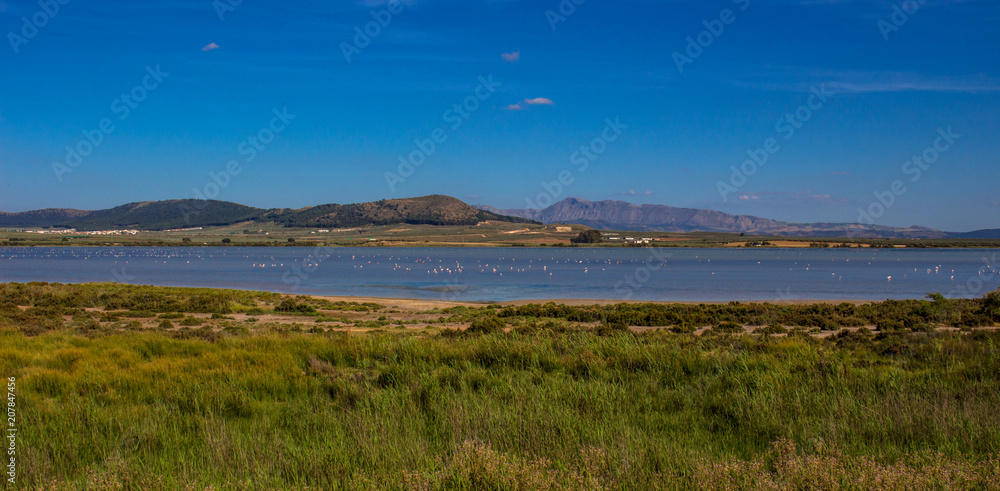 Lagoon. “Laguna de Fuente de Piedra”. Fuente de Piedra, Malaga Province, Andalusia, Spain.
