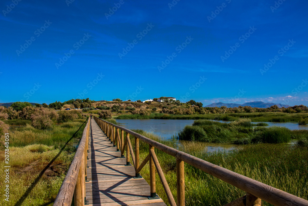 Lagoon. “Laguna de Fuente de Piedra”. Fuente de Piedra, Malaga Province, Andalusia, Spain. Picture taken – 3 june 2018.