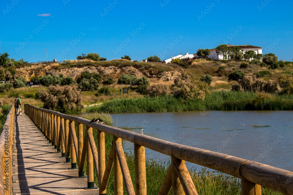 Obraz premium Lagoon. “Laguna de Fuente de Piedra”. Fuente de Piedra, Malaga Province, Andalusia, Spain. Picture taken – 3 june 2018.