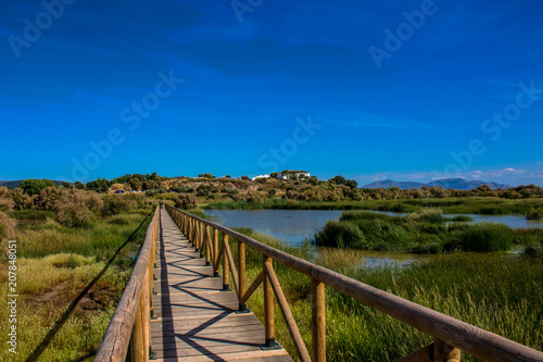 Lagoon.    Laguna de Fuente de Piedra   . Fuente de Piedra  Malaga Province  Andalusia  Spain. Picture taken     3 june 2018.