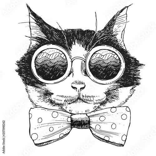 Image cat portrait with sunglasses and tie. Vector illustration.