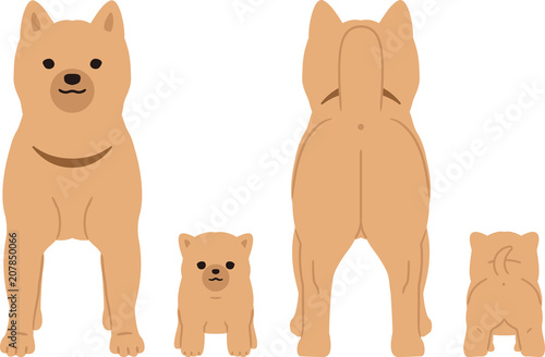 犬の親子　正面と後