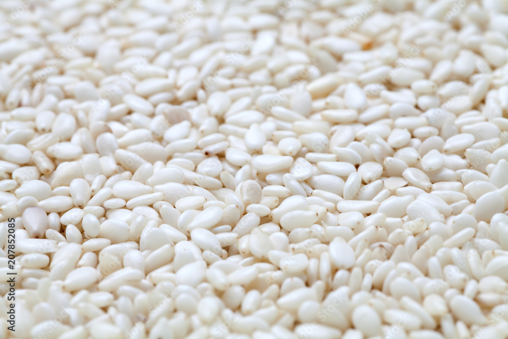 Macro of white sesame seeds Macro of white sesame seeds