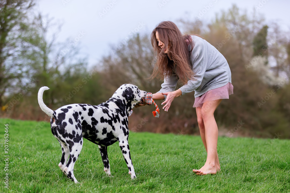 young woman plays with her Dalmatian dog young woman plays with her Dalmatian dog