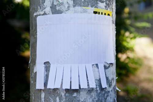 Blank white paper with tear off tabs.