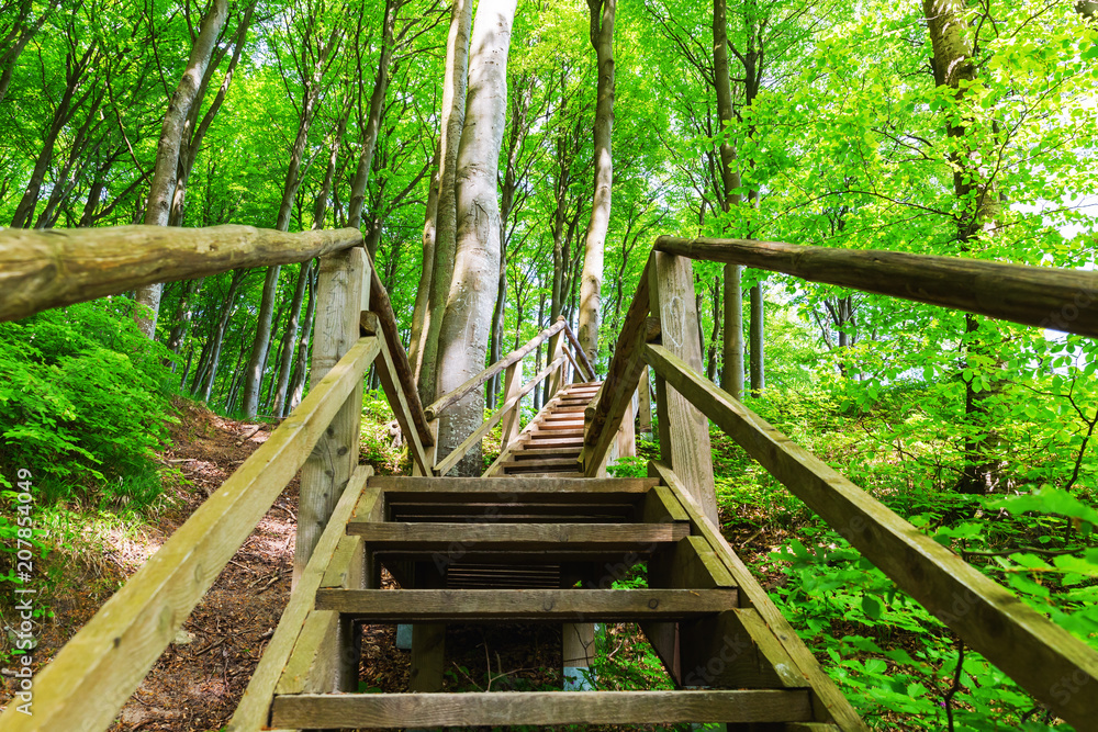 wooden stairs in the Jasmund National Park, Ruegen, Germany wooden stairs in the Jasmund National Park, Ruegen, Germany