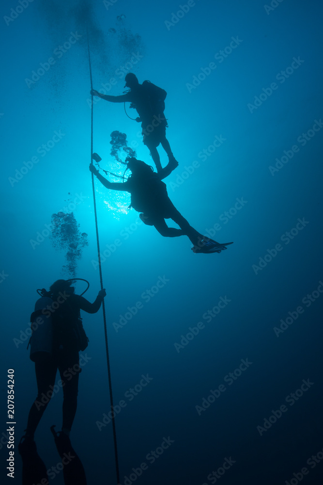 Scuba divers on a line underwater Scuba divers on a line underwater