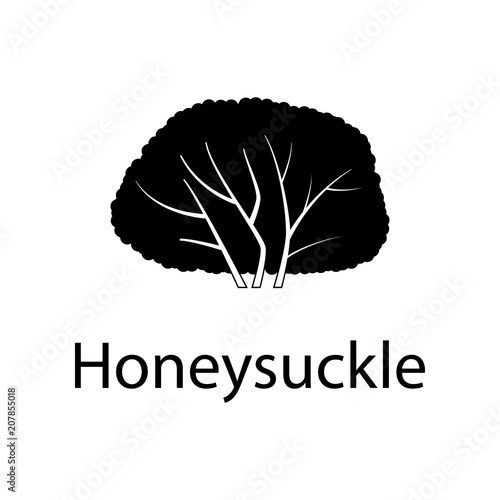 honeysuckle tree illustration. Element of plant icon for mobile concept and web apps. Detailed honeysuckle tree illustration can be used for web and mobile