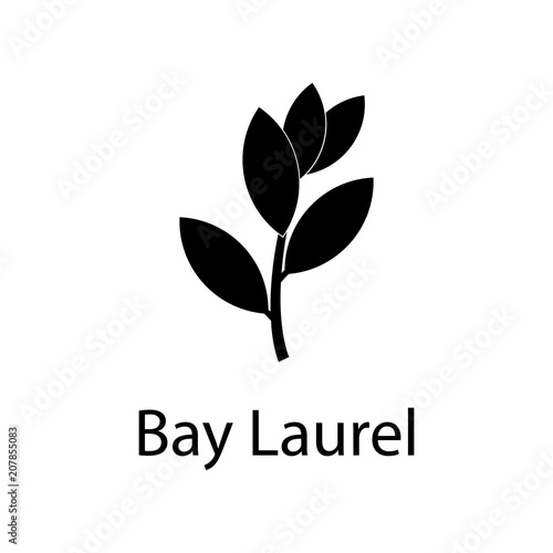 bay laurel tree illustration. Element of plant icon for mobile concept and web apps. Detailed bay laurel tree illustration can be used for web and mobile