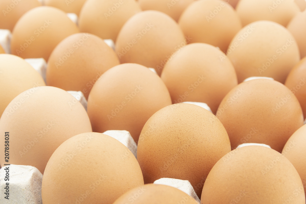 row of chicken eggs in paper tray row of chicken eggs in paper tray
