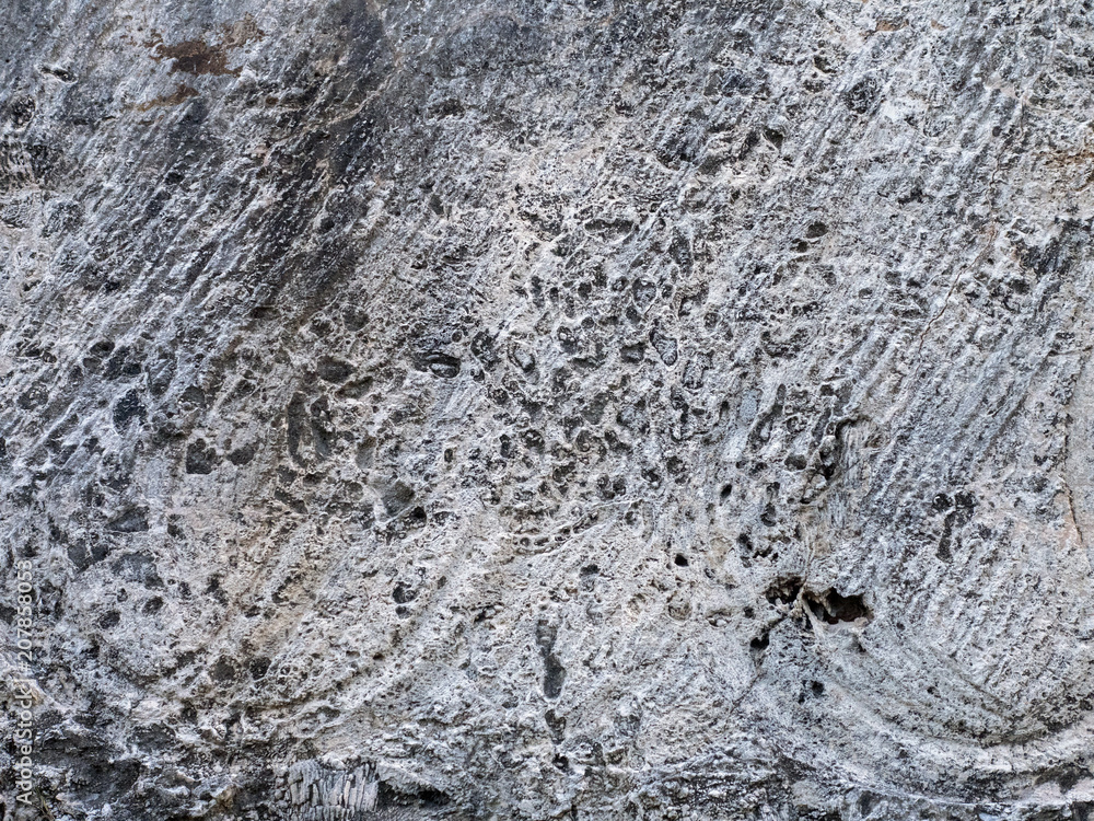 Stone texture, limestone, background