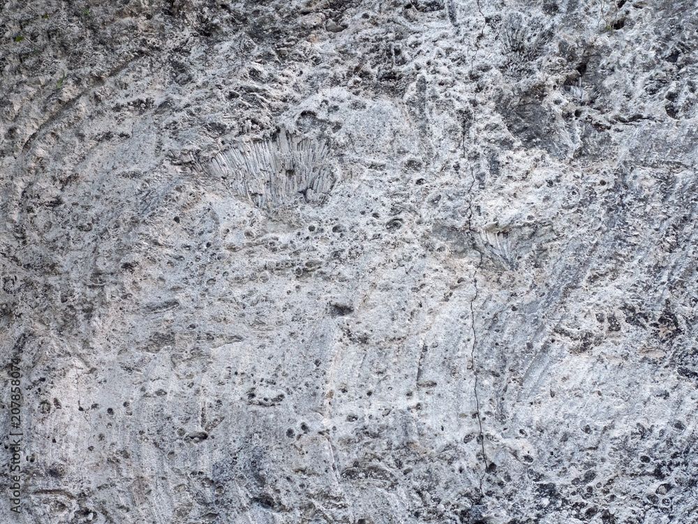 Stone texture, limestone, background Stone texture, limestone, background