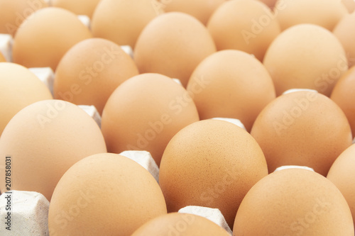 row of chicken eggs in paper tray
