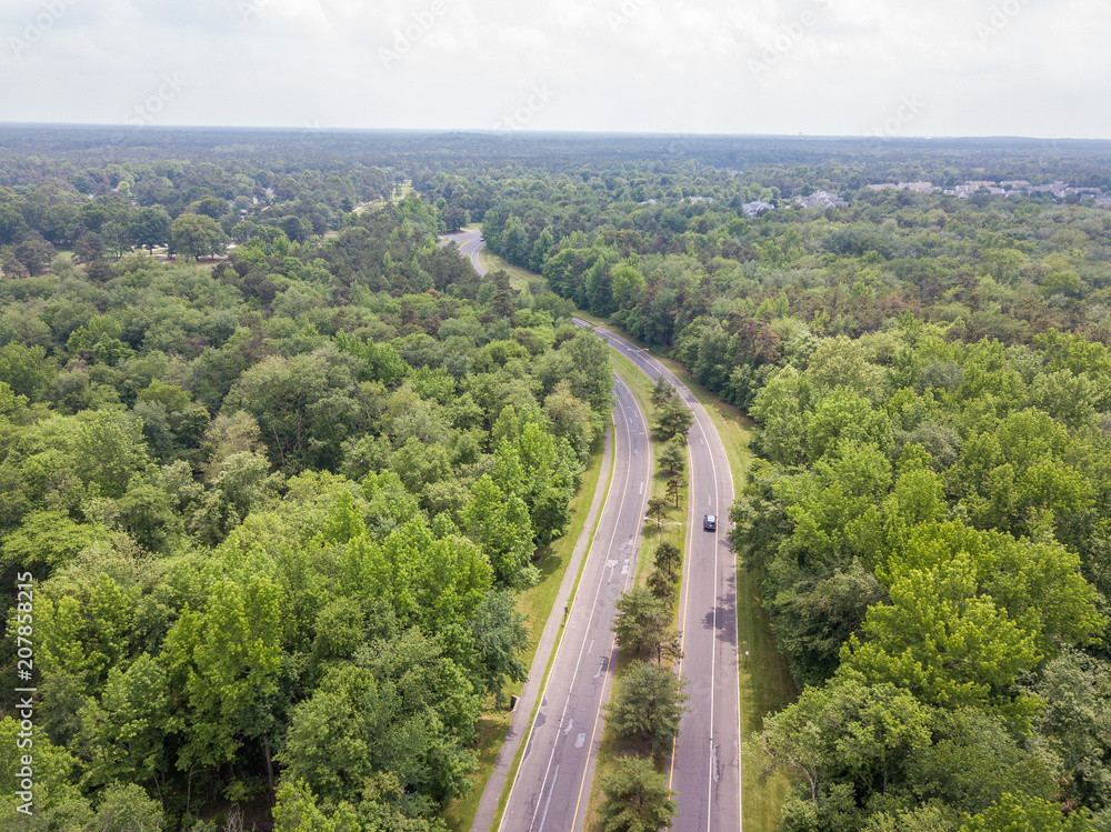 Road in the forest