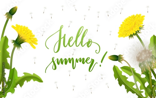 Fototapeta Naklejka Na Ścianę i Meble -  Banner hello summer dandelion seed background lettering. Invitation card on white with flying parachutes. Spring vector illustration