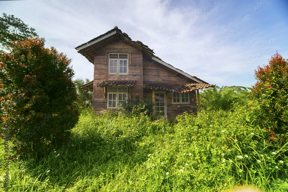 Obraz premium Old deserted house overgrown with bushes