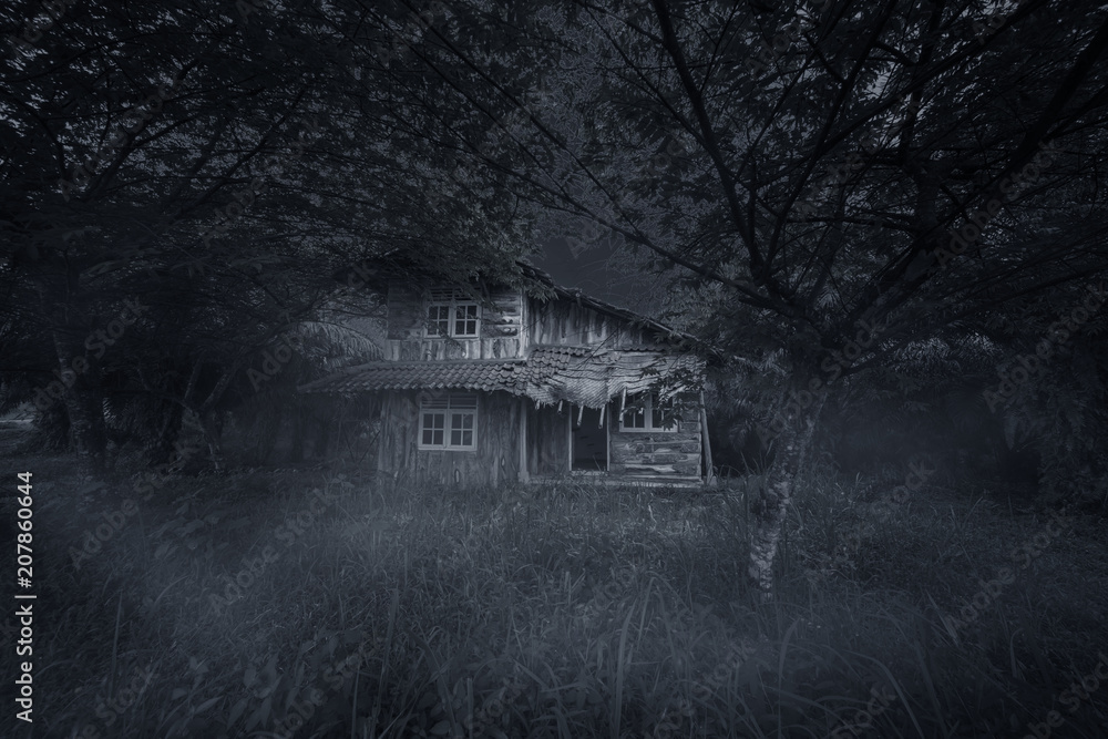 Obraz premium Spooky wooden house at night time
