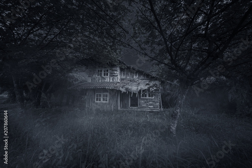 Spooky wooden house at night time © Creativa Images