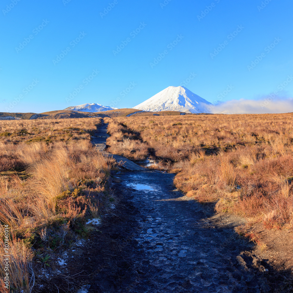 Walkway in the mountains at Tongariro National Park, New Zealand