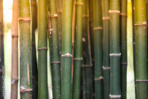 Rough surface texture of bamboo.