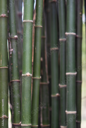 Rough surface texture of bamboo.