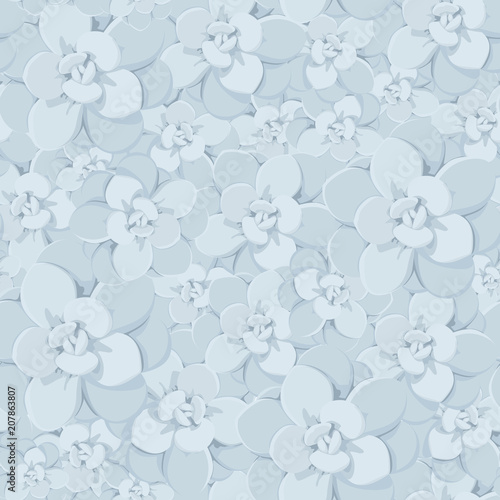 Succulent rosette echeveria stone rose flowers with blue leaves. Soft pastel colors. Floral seamless pattern texture. Vector design illustration.