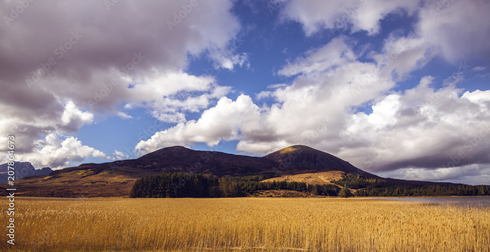 View of the beautiful reed beds on Loch Cill Chriosd on the Isle of Skye in the Highlands of Scotland