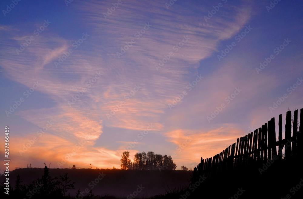 Naklejka premium паутина