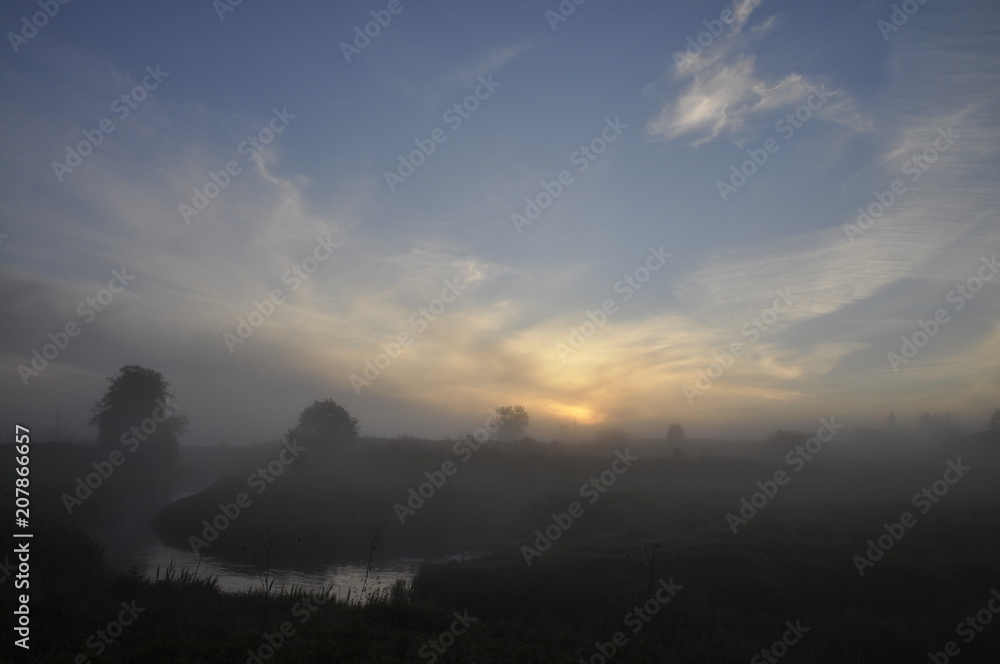 Fototapeta premium паутина