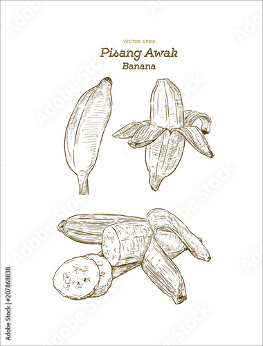 Pisang Awak banana .Thai call Kluai Namwa.