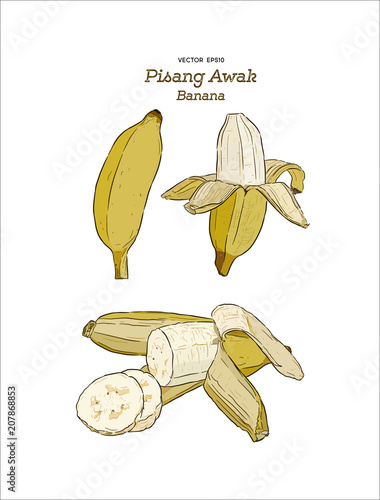 Pisang Awak banana .Thai call Kluai Namwa.