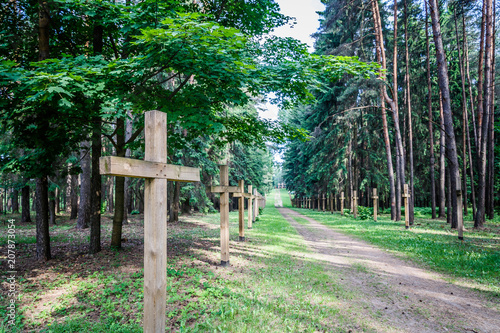 in the forest in an abandoned cemetery an old rusty cross