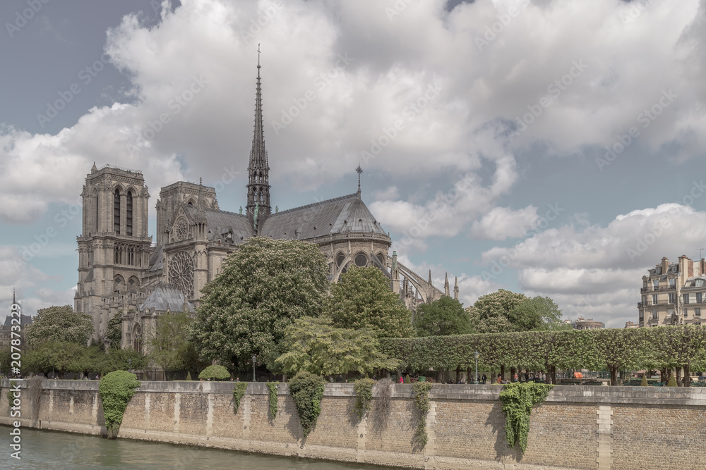 The Cathedral of Notre Dame de Paris