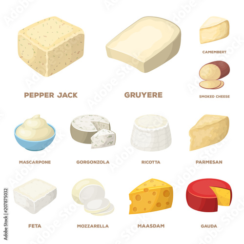 Different kind of cheese cartoon icons in set collection for design.Milk product cheese vector symbol stock web illustration.