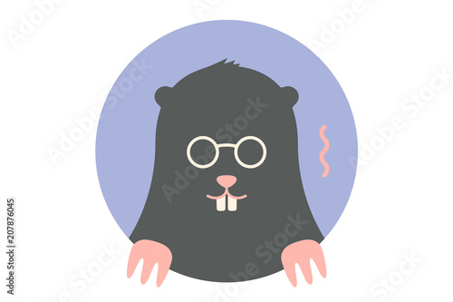 Mole. Icon of black Mole. Portrait in flat graphics - mole on colorful circle background. Vector Illustration © foxysgraphic