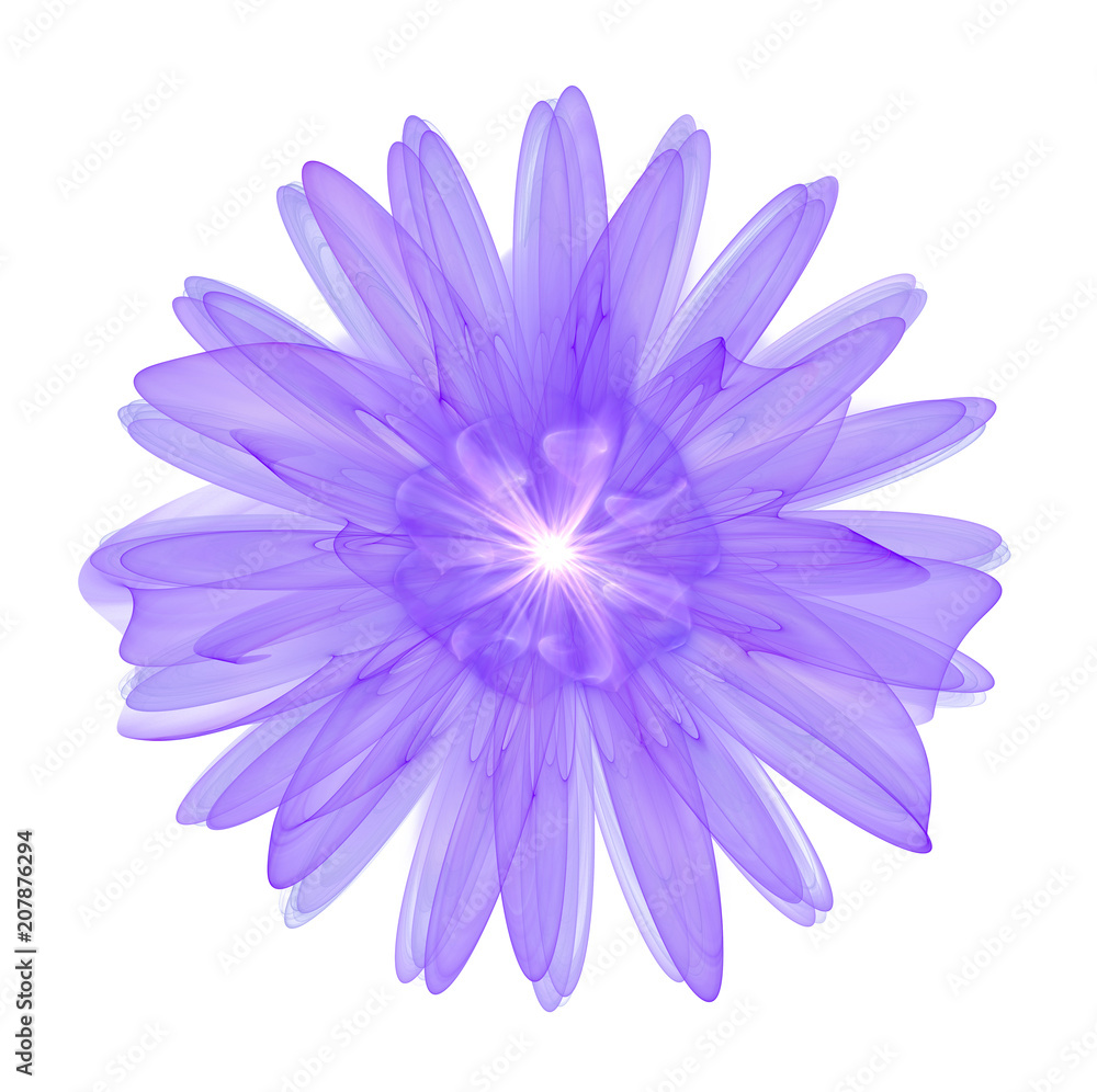 purple 3d flower isolated on white background