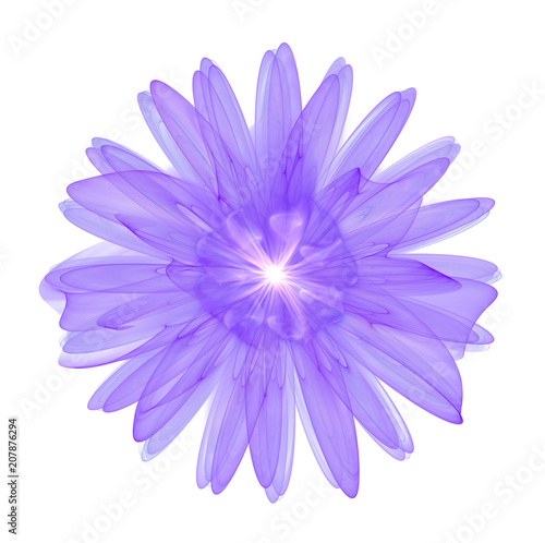purple 3d flower isolated on white background
