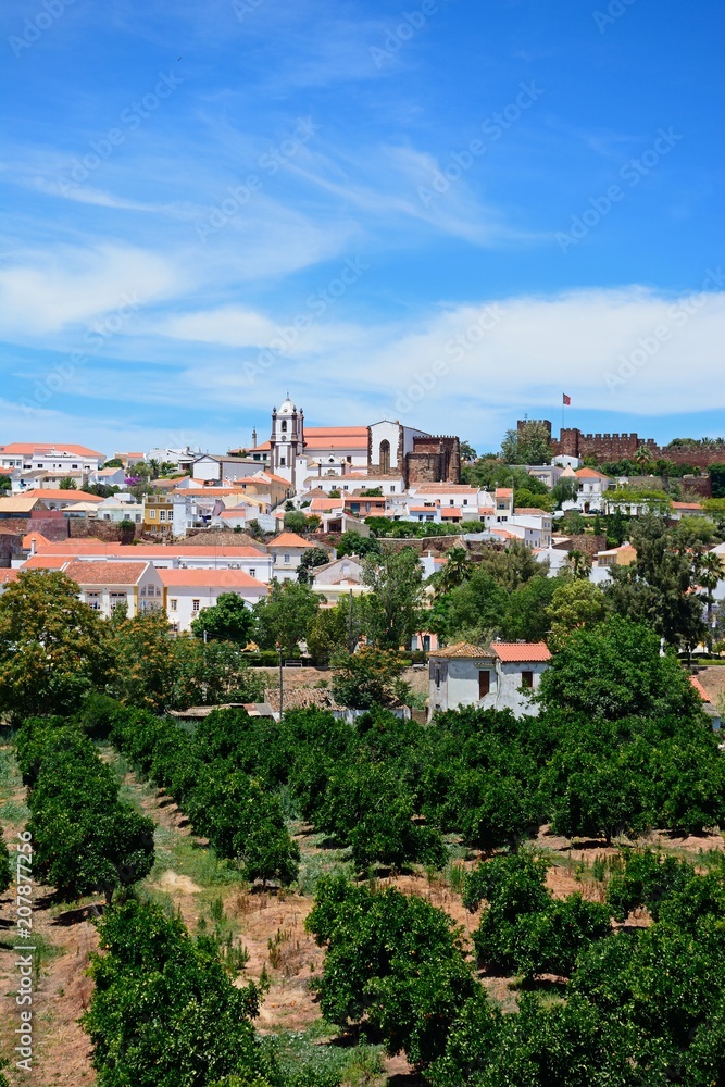 View of the town with the Gothic cathedral and castle to the rear and orchards in the foreground, Silves, Portugal.