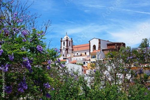 View over the town rooftops towards the Gothic cathedral (Igreja da Misericordia) with Jacaranda trees in the foreground, Silves, Portugal.