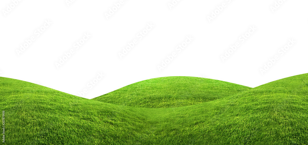 Green grass texture background isolated on white background with clipping path. - obrazy, fototapety, plakaty 