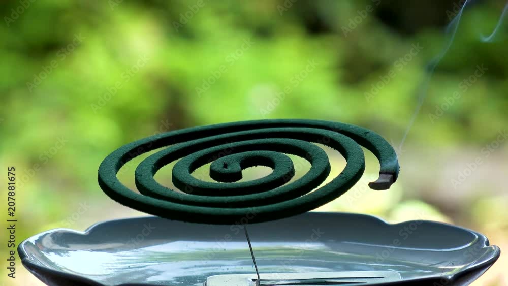 TOKYO, JAPAN : Green MOSQUITO COIL in Japanese house in summer season. TOKYO, JAPAN : Green MOSQUITO COIL in Japanese house in summer season.