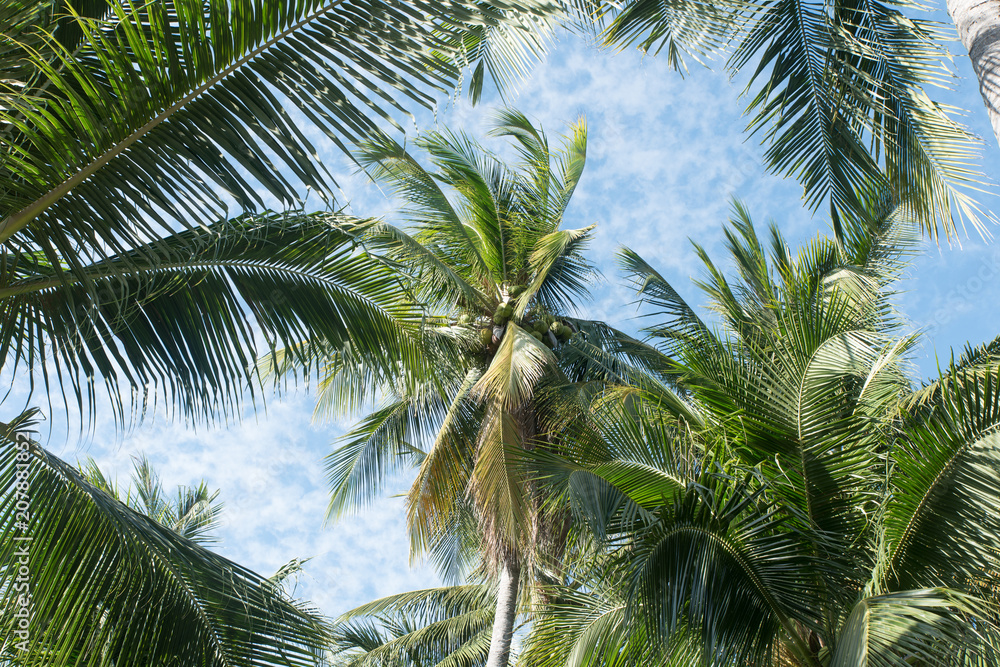 Vietnam sky