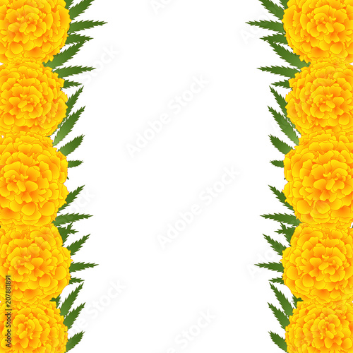 Fototapeta Naklejka Na Ścianę i Meble -  Marigold Flower - Tagetes Border