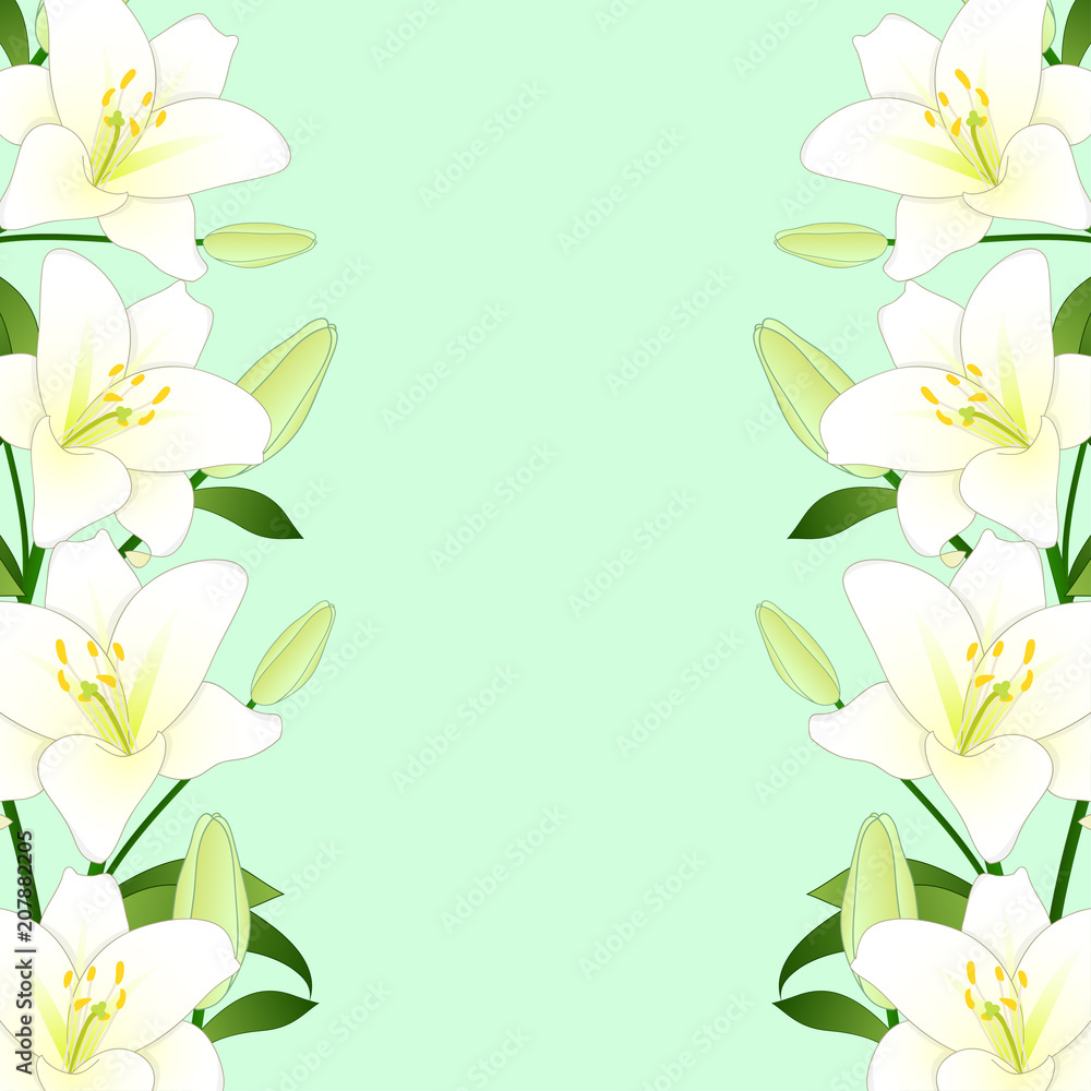 White Lily Border on Green Mint Background