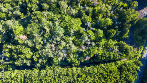 [空撮写真]上空からみる森林 © littleblend Co.,Ltd.
